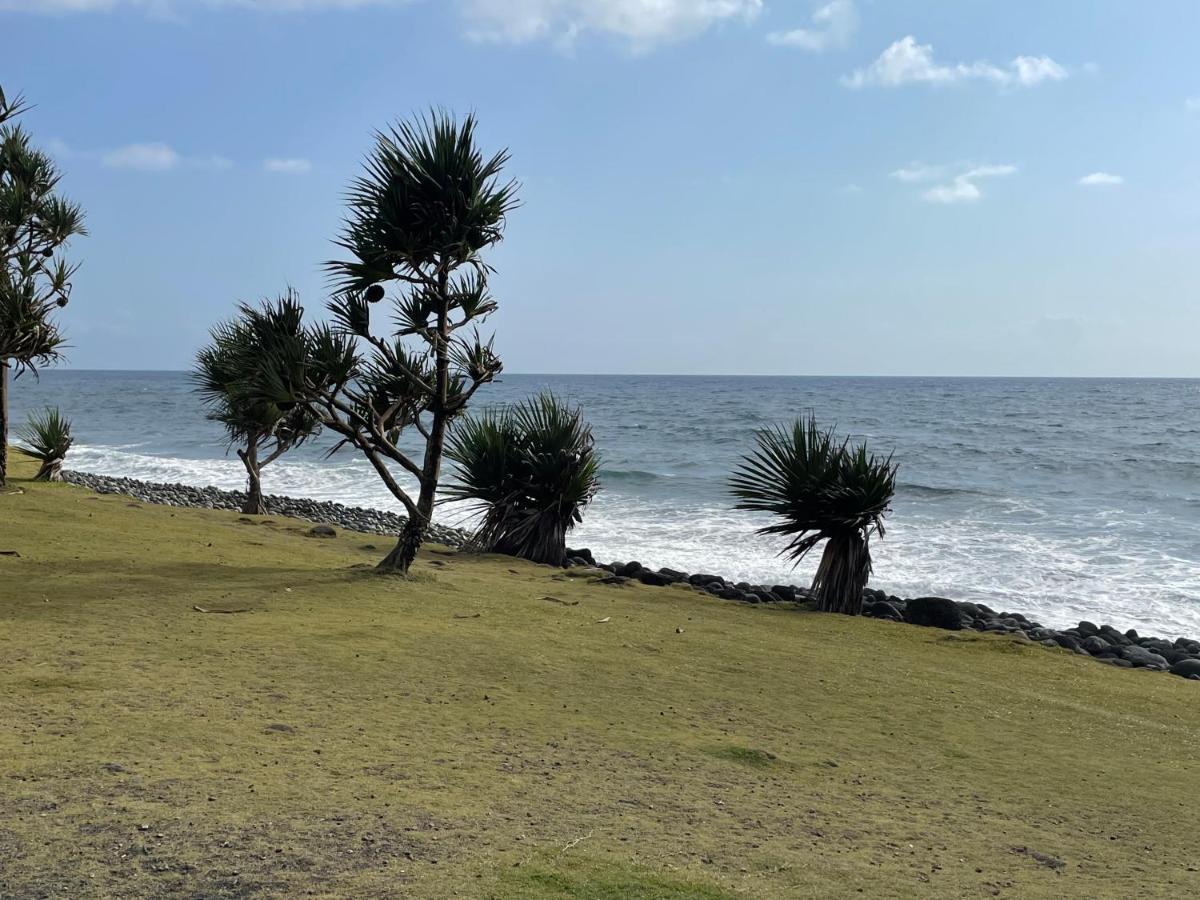 فندق Arbre A Pain Bras-Panon المظهر الخارجي الصورة