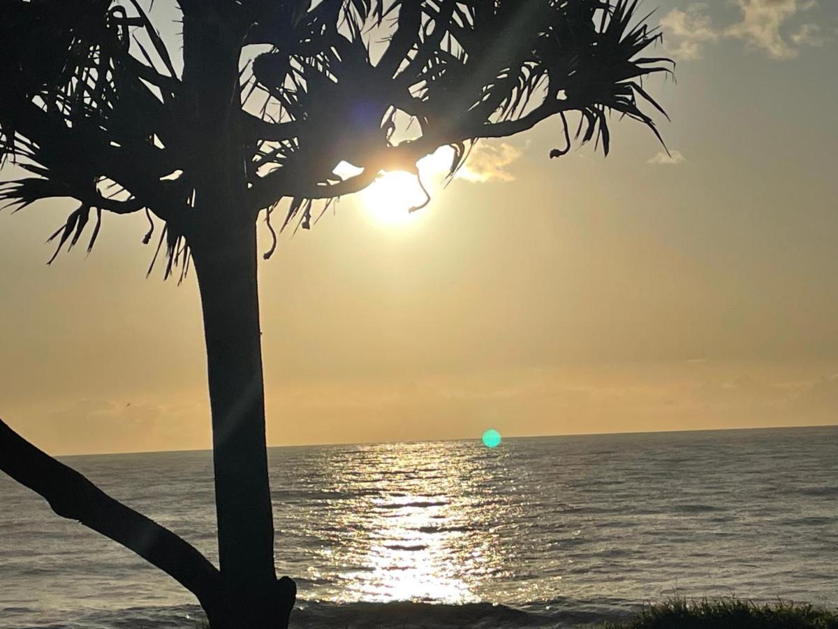 فندق Arbre A Pain Bras-Panon المظهر الخارجي الصورة